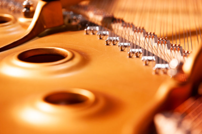 Humanities, Arts, and Social Sciences (HASS) Private Music Lessons Fund