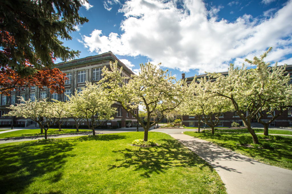 This award is named in memory of Dr. Vladimir Belsky, who came to Rensselaer from Russia in the 1990’s and performed research in computational mechanics as a postdoctoral fellow for eight years.