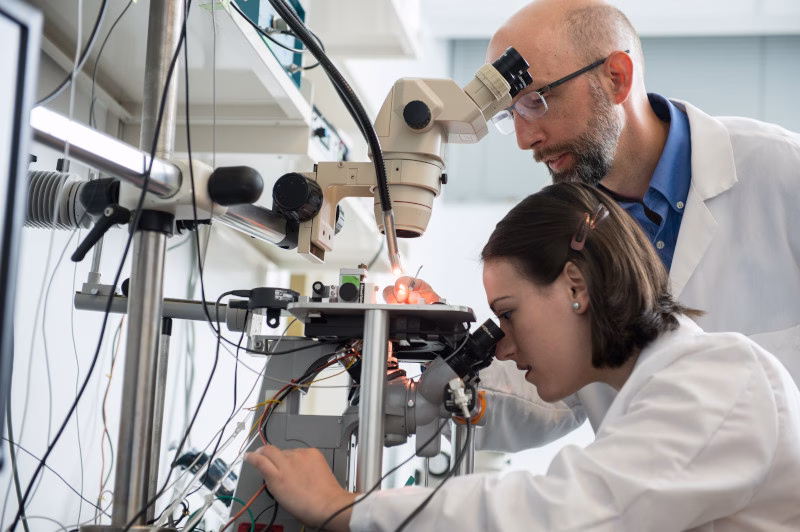 Student Professor Lab